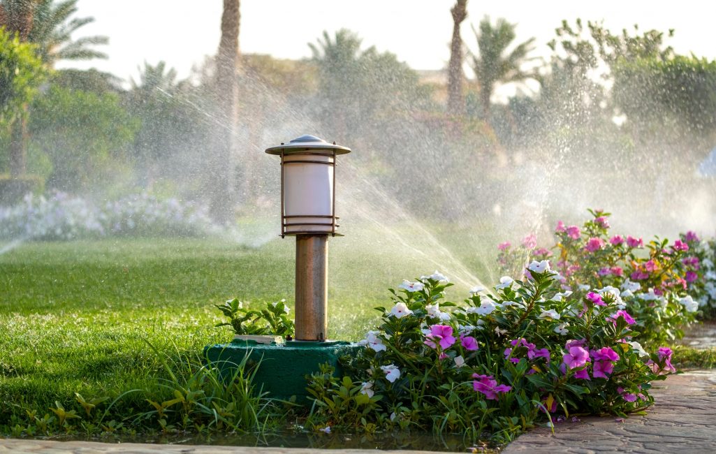 Plastic sprinkler irrigating flower bed on grass lawn with water in summer garden. Watering green vegetation duging dry season for maintaining it fresh.